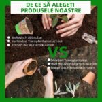 Vazonų rinkinys 50 vnt. 8 × 8 cm - Image 3