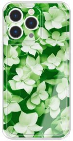 iPhone 13 Pro dėklas