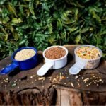 10 vnt. paukščių lesyklėlė - Image 5