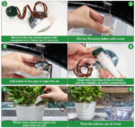 Augalų savaiminio laistymo priemonė 16vnt - Image 3