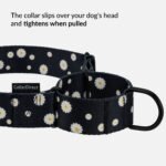 CollarDirect Martingale šunų antkaklis 28,1-50,8 cm - Image 3