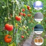 „Rflowtop“ elastingas  tinklaelis augalams 60/80/120 cm - Image 2