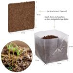 Eglutės sėklų dovanų rinkinys „OwnGrown Tree“ - Image 3