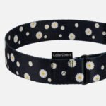 CollarDirect Martingale šunų antkaklis 28,1-50,8 cm - Image 4