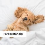 Paklodė su guma 200x200 balta - Image 5