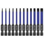 HPHOPE profesionalus Torx antgalių rinkinys, 12 dalių